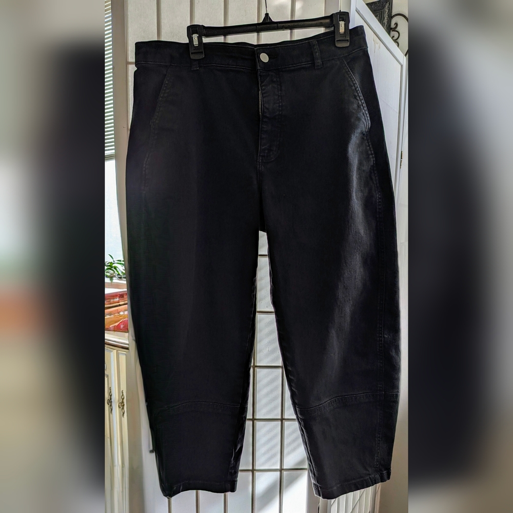 Everlane Utility Barrel Pant Black 14